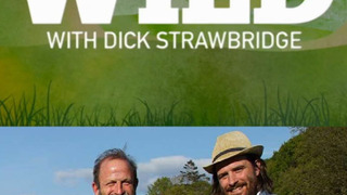 Show Cabins in the Wild with Dick Strawbridge
