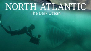 Сериал North Atlantic: The Dark Ocean