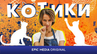 Show Котики