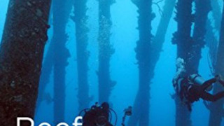 Сериал Reef Wrecks