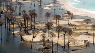 Сериал Цунами