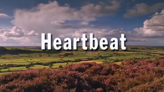 Heartbeat season 9