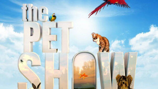 Сериал The Pet Show