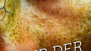 Show Club der dinosaurier