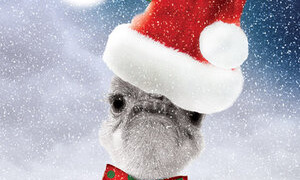 Сериал Новогодний переполох