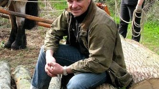 Show Tales from the Wild Wood