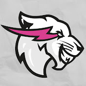 Show MrBeast Philanthropy