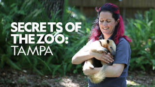 Secrets of the Zoo: Tampa сезон 1