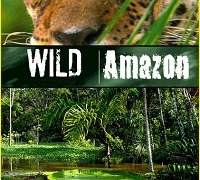 Дикая природа Амазонки сезон 1