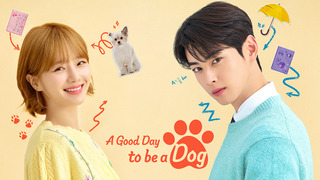 Show A Good Day to be a Dog
