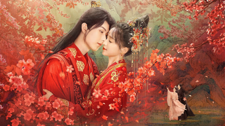 Show Supervisor Husband