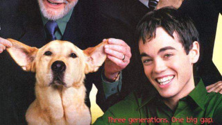 Сериал Мэдиган