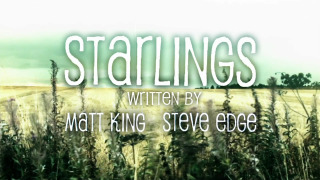 Starlings season 1