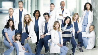 Grey's Anatomy season 14