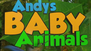 Andy's Baby Animals season 1