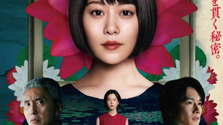 Сериал Незнакомец