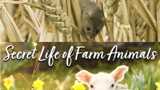 Secret Life of Farm Animals season 1