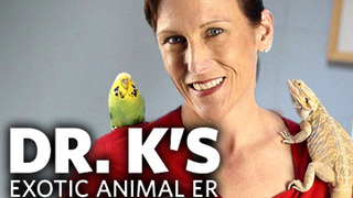 Dr. K's Exotic Animal ER: Gloves Off! сезон 1