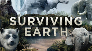 Surviving Earth