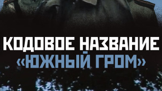Show Кодовое название "Южный гром"