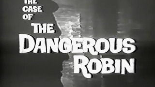 The Case of the Dangerous Robin season 1