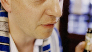 Show Dittsche - Das wirklich wahre Leben