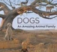 Dogs: An Amazing Animal Family season 1