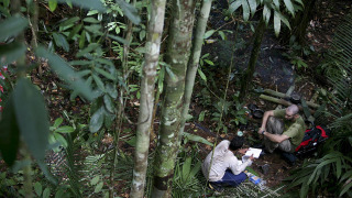 Сериал Пешком по Амазонке