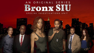 Bronx SIU season 1