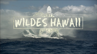Wild Hawaii season 1