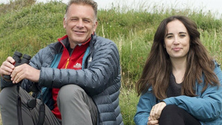 Show Chris & Meg's Wild Summer