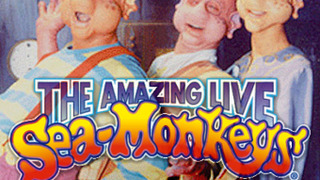 The Amazing Live Sea-Monkeys  season 1