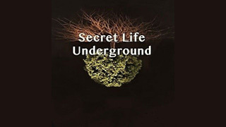 Secret Life Underground сезон 1