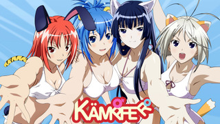 Anime Kämpfer