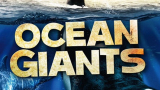 BBC: Морские гиганты сезон 1