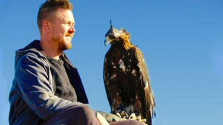 Show Johnny Into the Wild