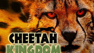 Cheetah Kingdom season 1