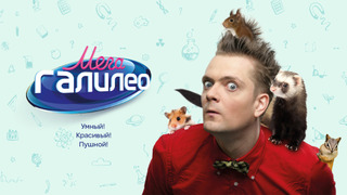 Сериал МегаГалилео