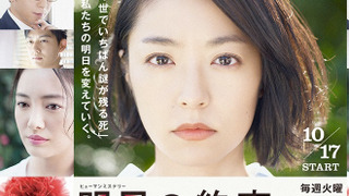 Show School Counselor