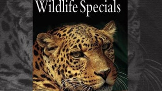 The Wildlife Specials season 1