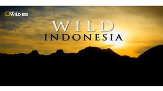 Destination Wild: Indonesia season 1