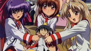 Anime Guardian Hearts