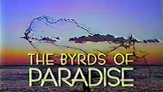 Byrds of Paradise season 1