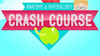 Crash Course Anatomy & Physiology сезон 1