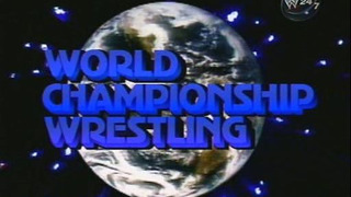 World Championship Wrestling сезон 1988